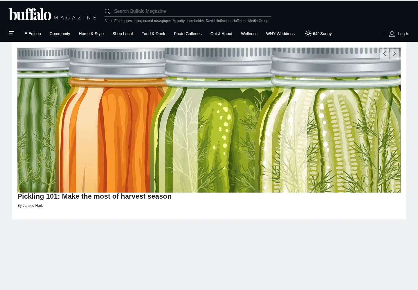 Screenshot of buffalo.com