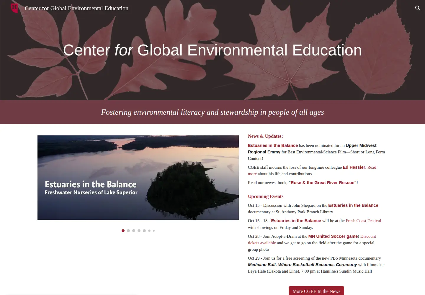 Screenshot of cgee-hamline.org