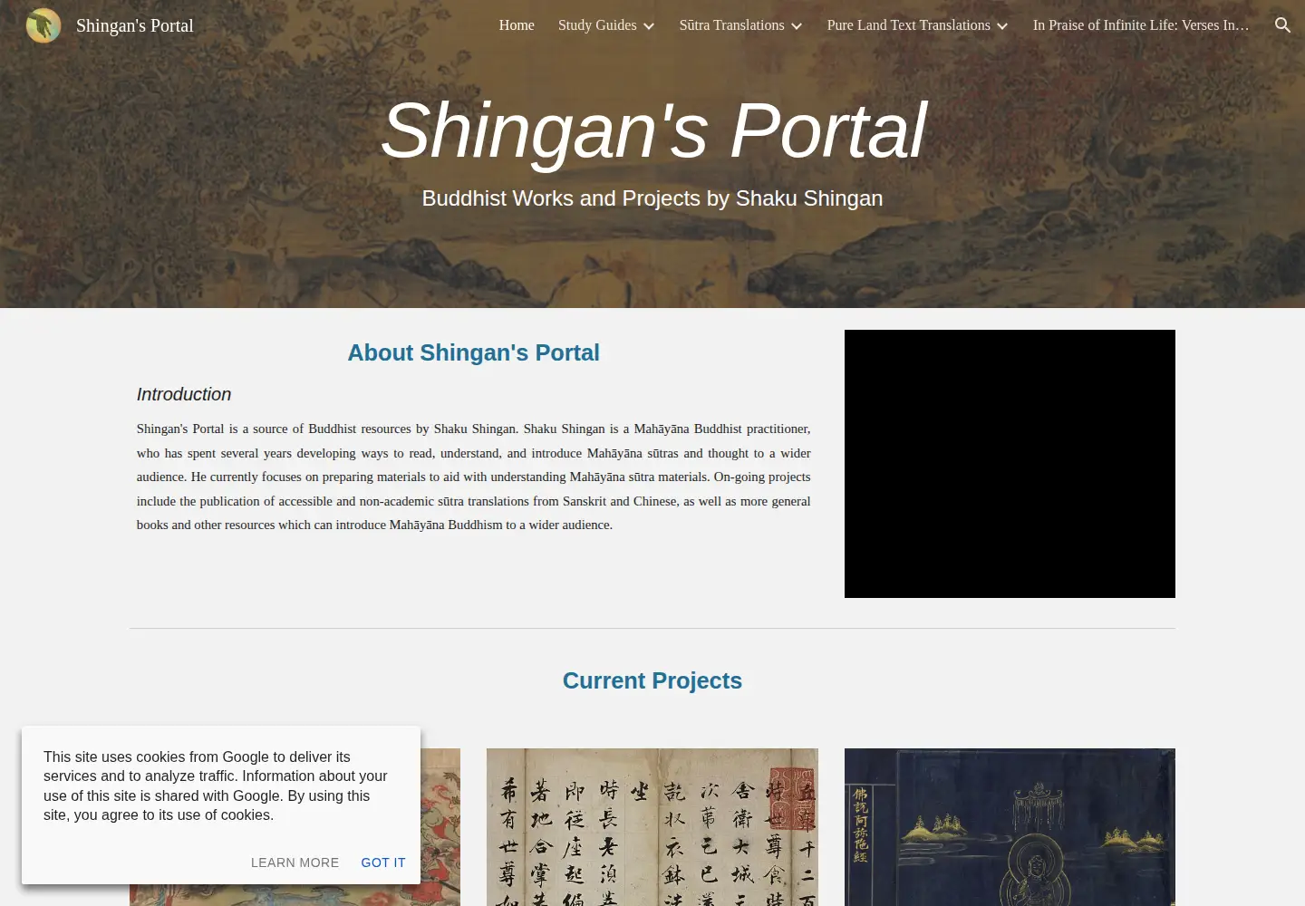 Screenshot of shingansportal.com