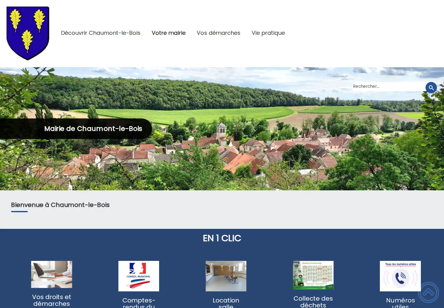 Captured homepage of chaumont-le-bois.fr in the current scan