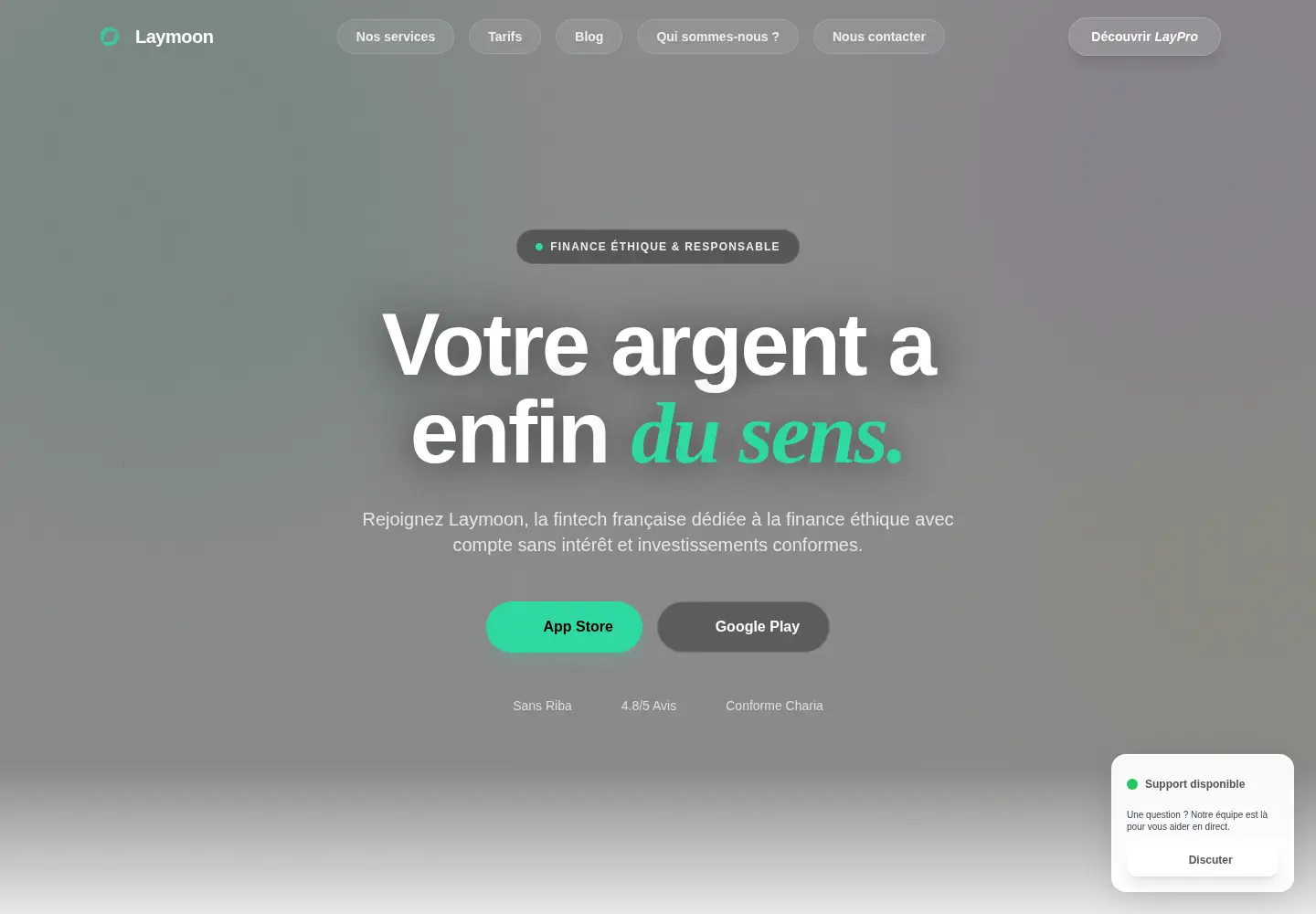 Captured homepage of laymoon.fr in the current scan