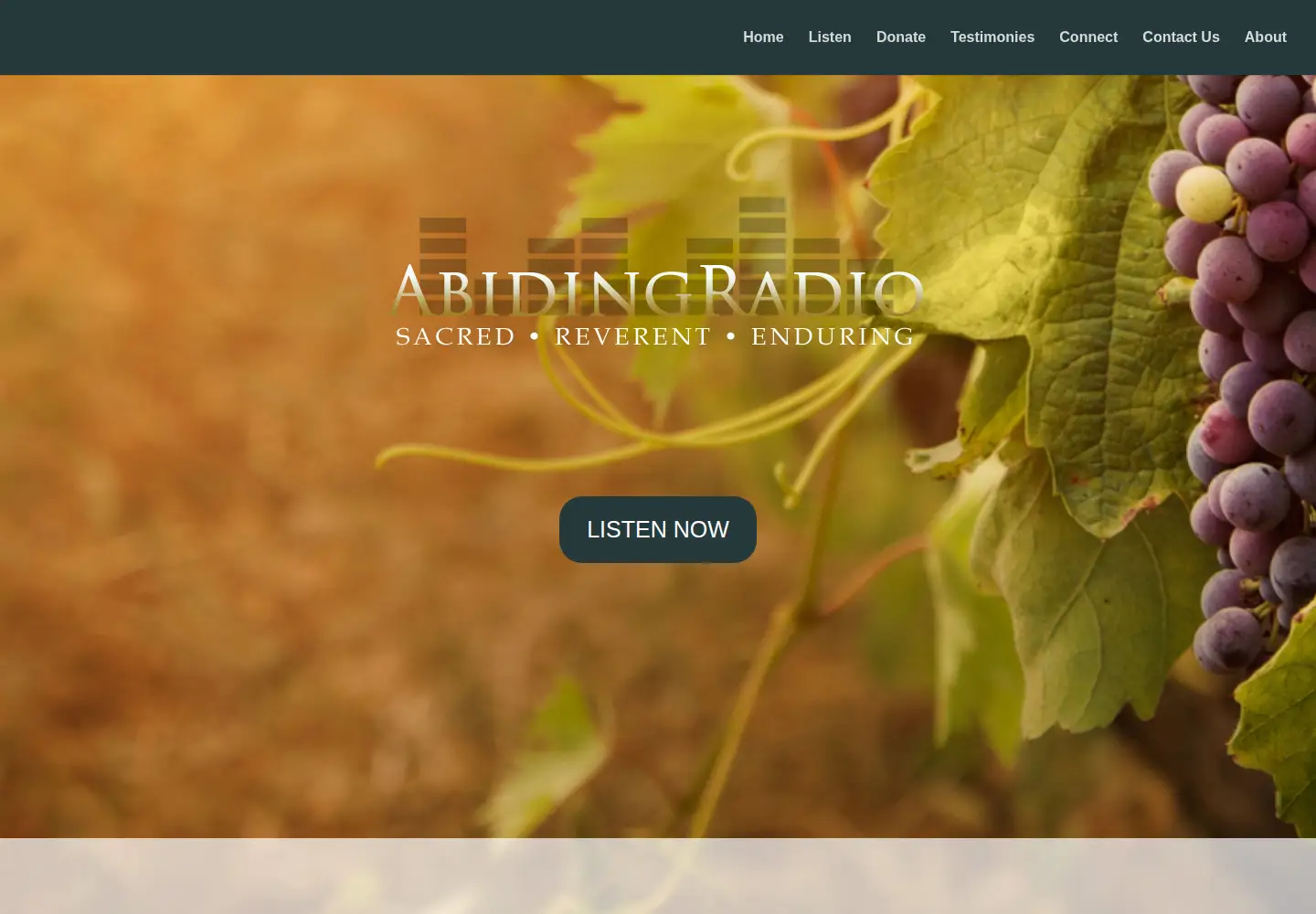 Screenshot of abidingradio.org