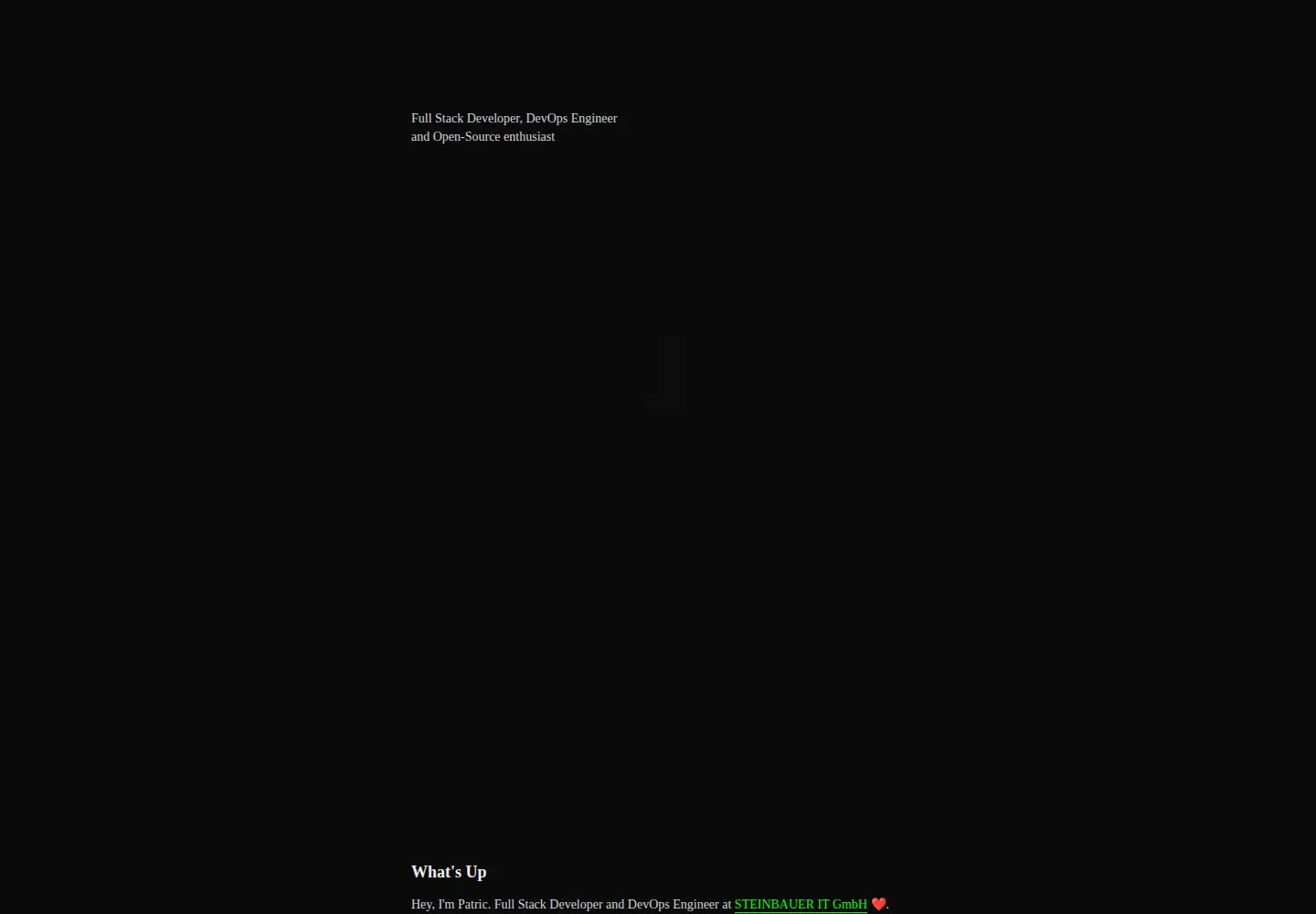 Captured homepage of patriceckhart.com in the current scan