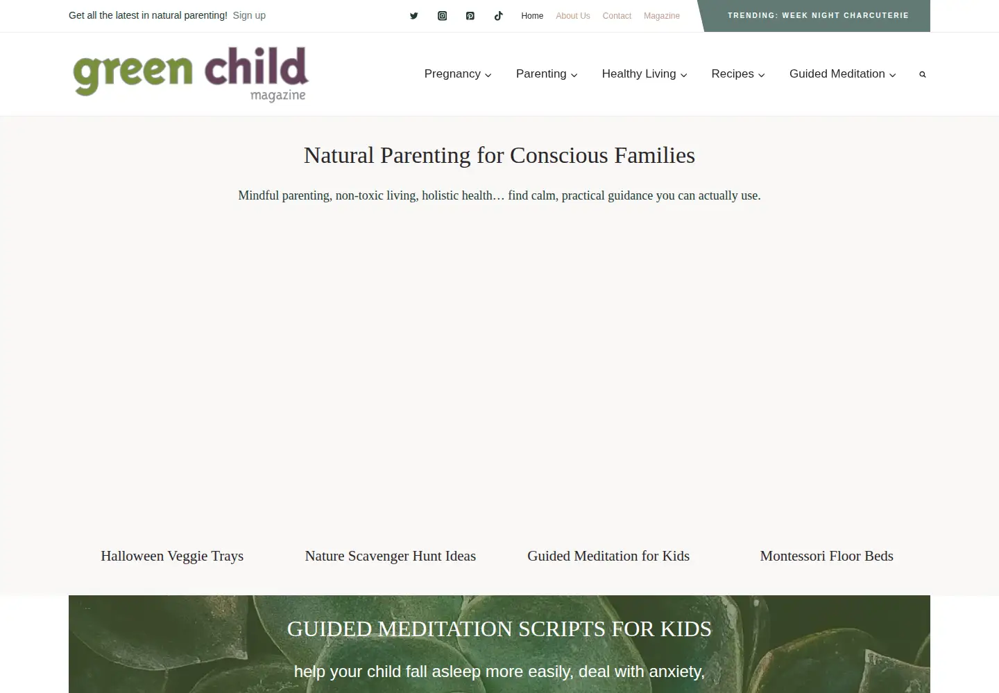Screenshot of greenchildmagazine.com