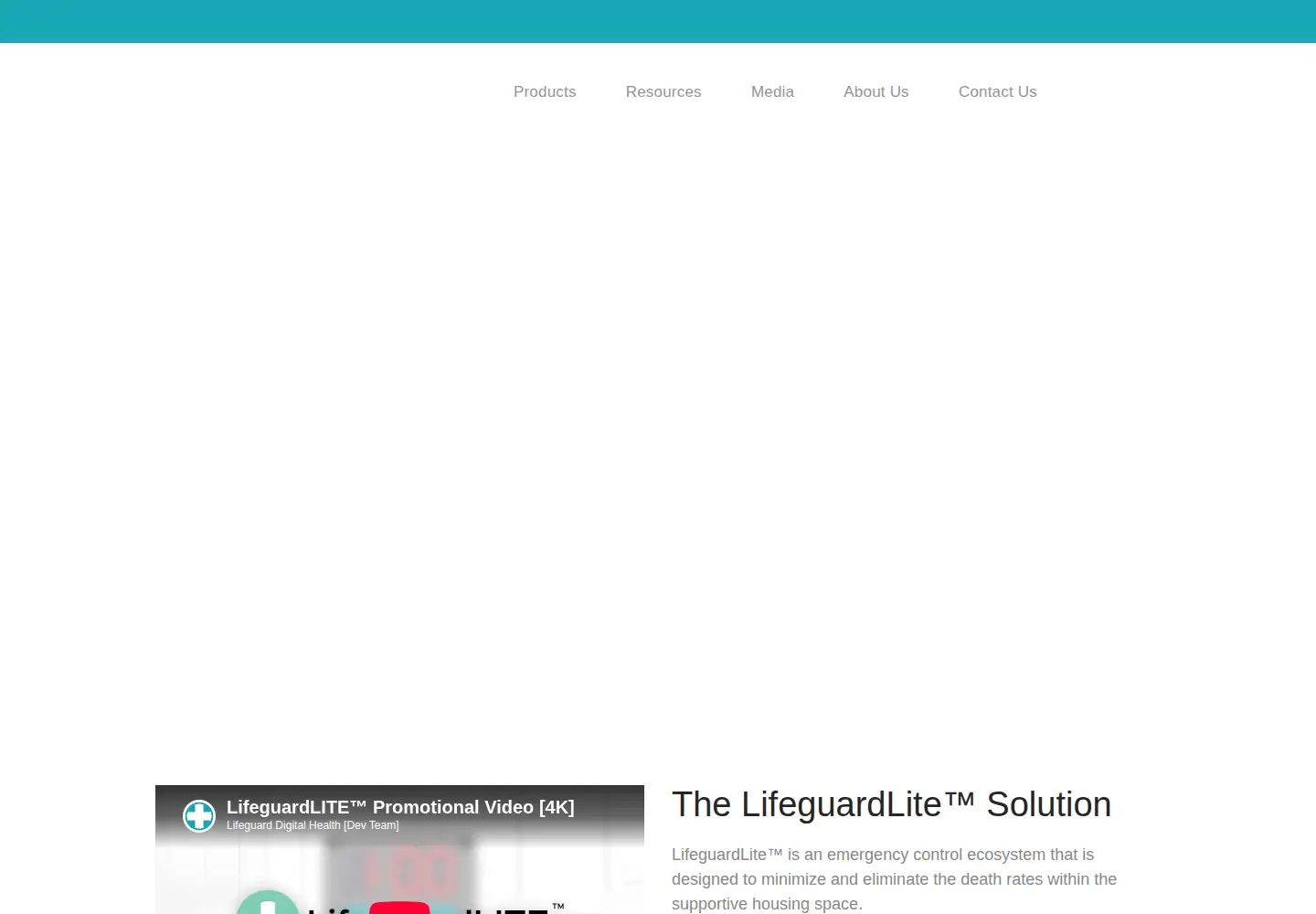 Captured homepage of lifeguarddh.com in the current scan