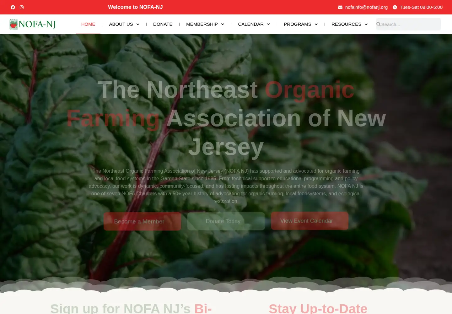 Screenshot of nofanj.org