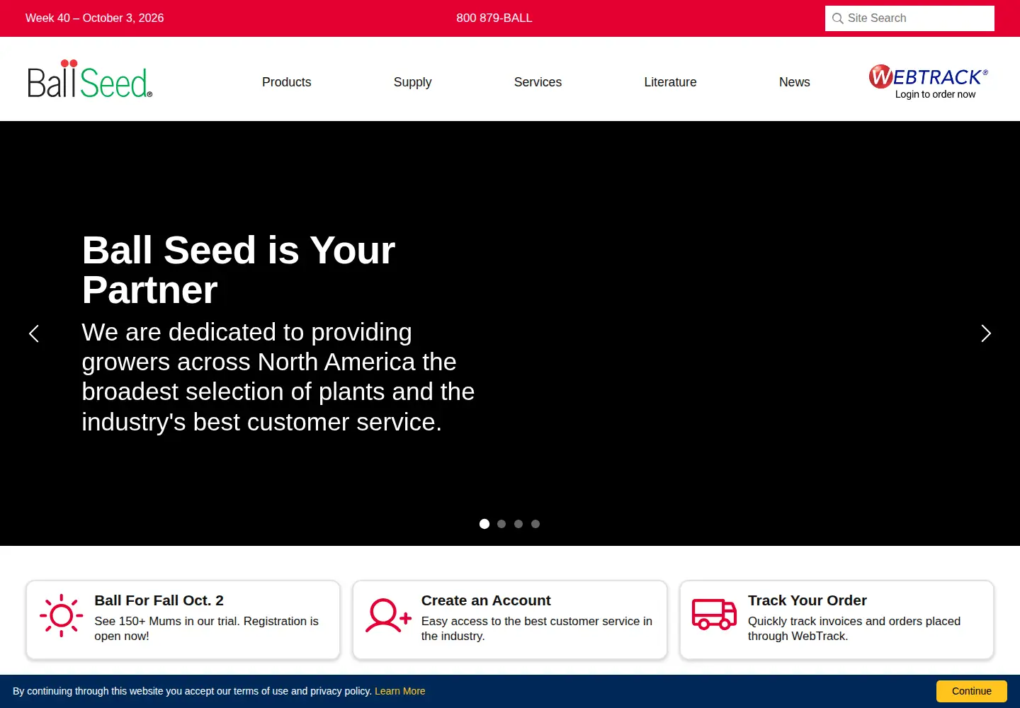 Captured homepage of ballseed.com in the current scan