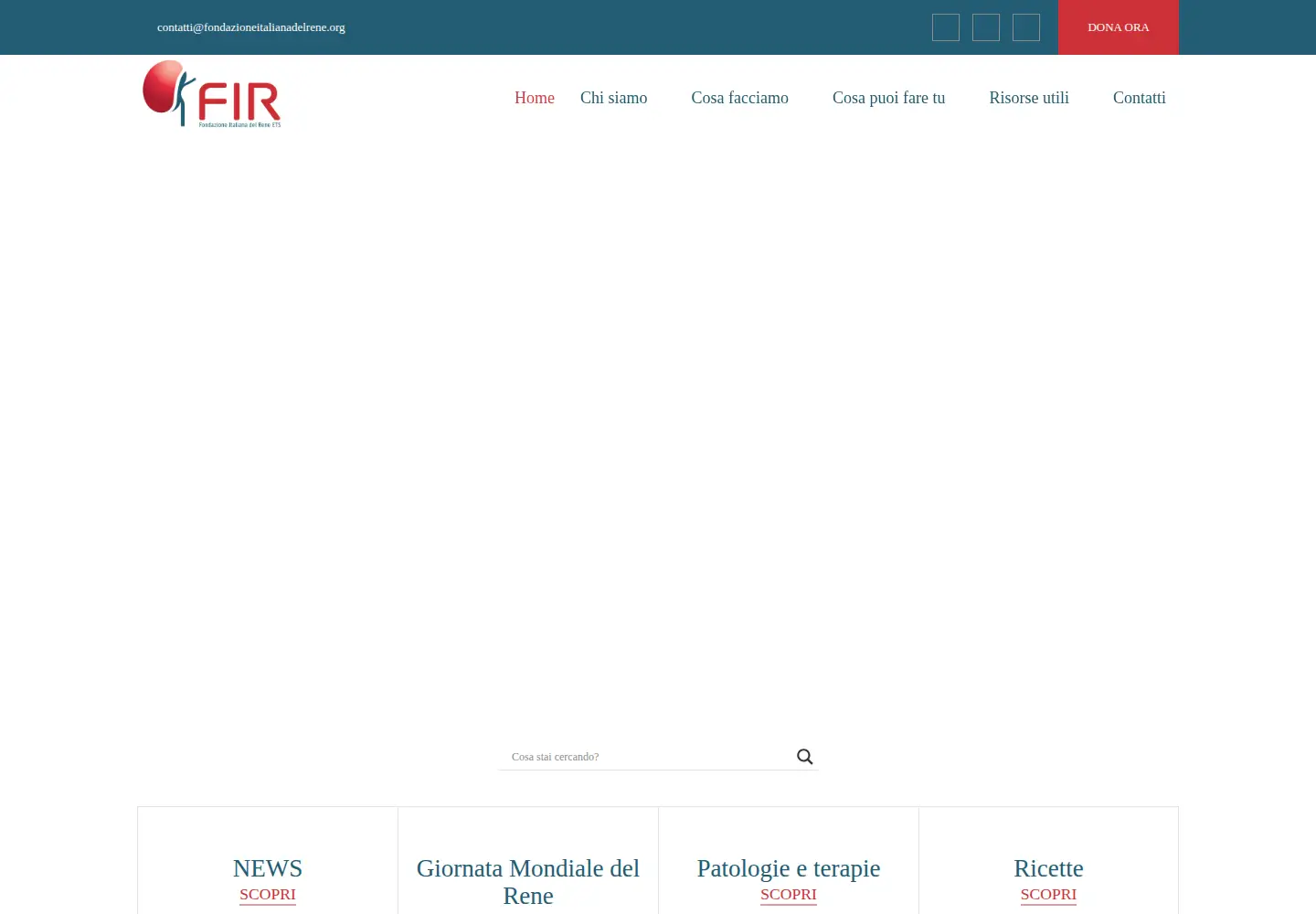 Screenshot of fondazioneitalianadelrene.org
