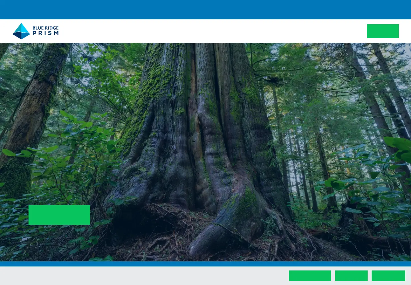 Screenshot of blueridgeprism.org