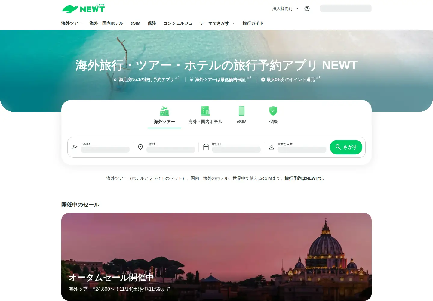 Screenshot of newt.net