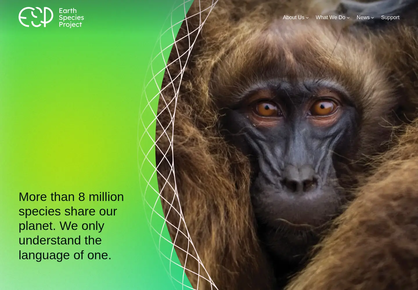 Screenshot of earthspecies.org