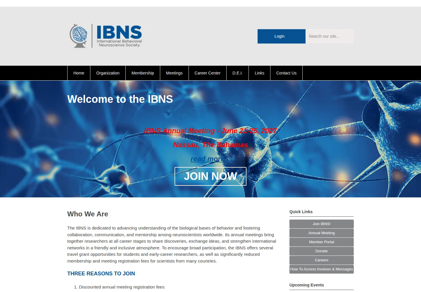Screenshot of ibnsconnect.org