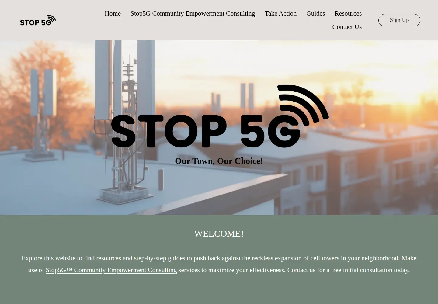 Screenshot of stop5g.org