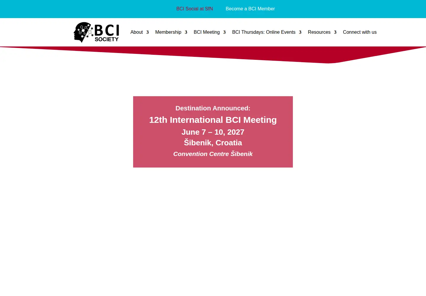 Captured homepage of bcisociety.org in the current scan