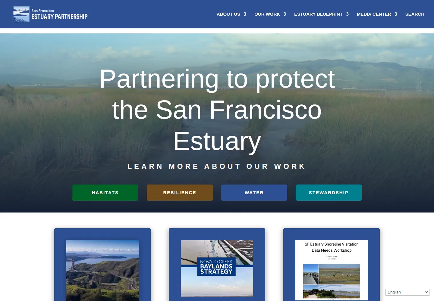 Captured homepage of sfestuary.org in the current scan