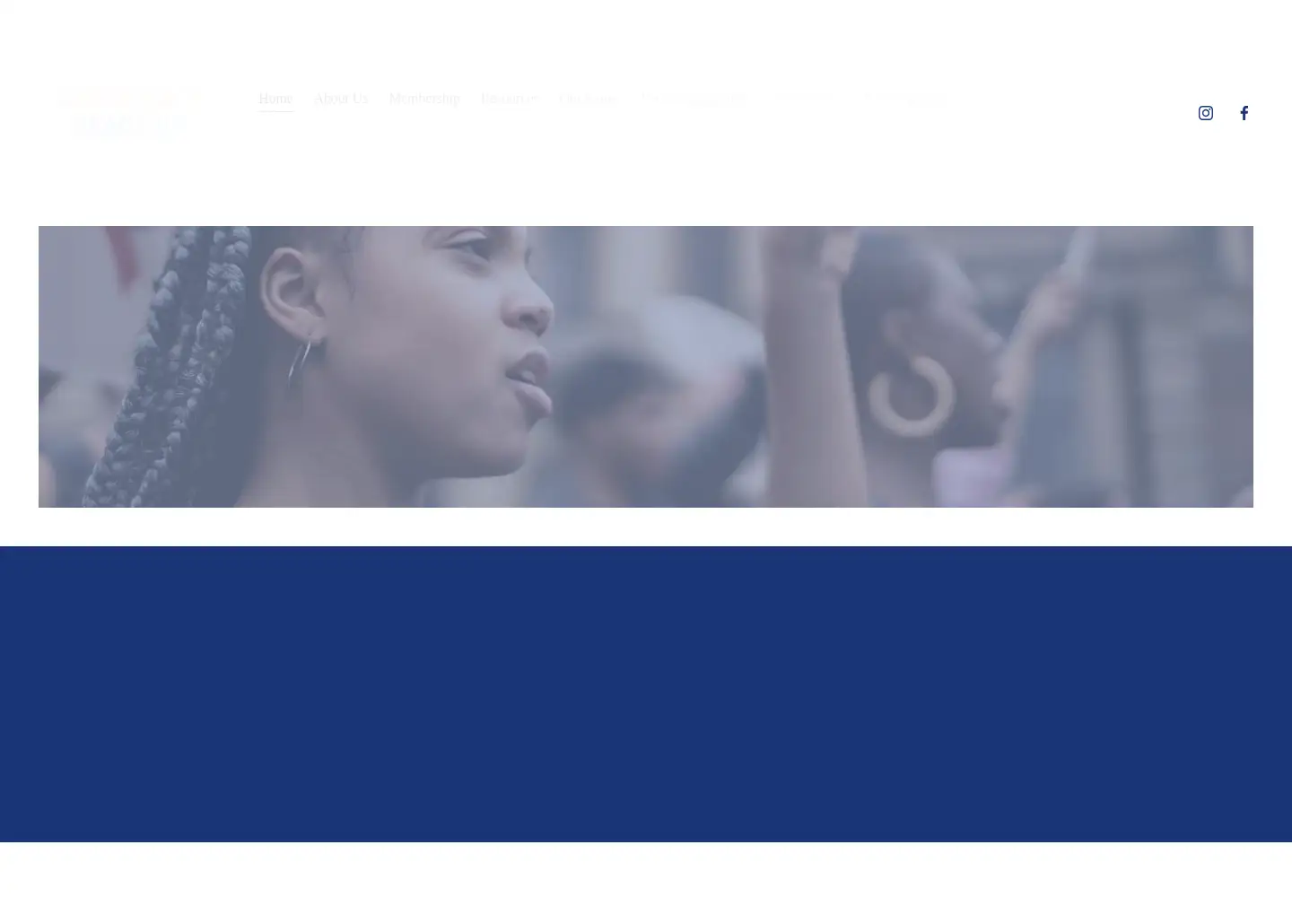 Screenshot of democracyreadyny.org