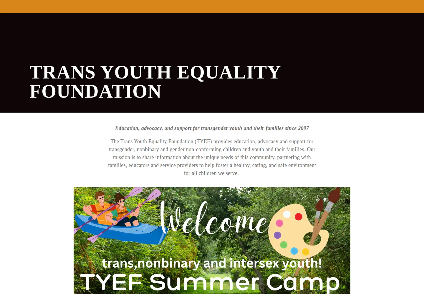 Captured homepage of transyouthequality.org in the current scan
