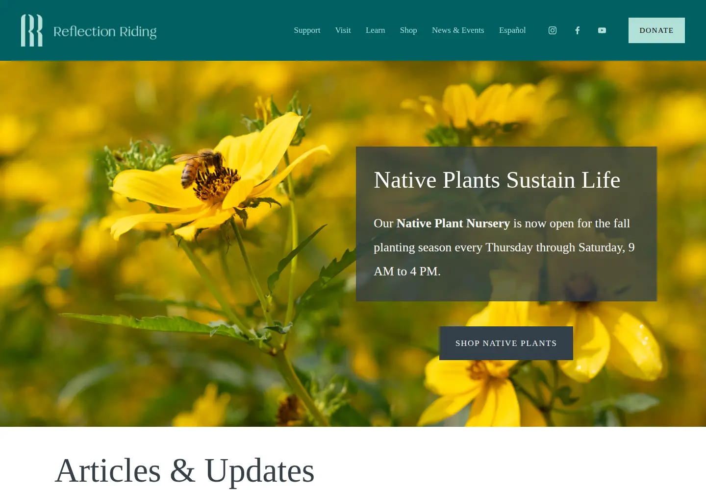 Screenshot of reflectionriding.org