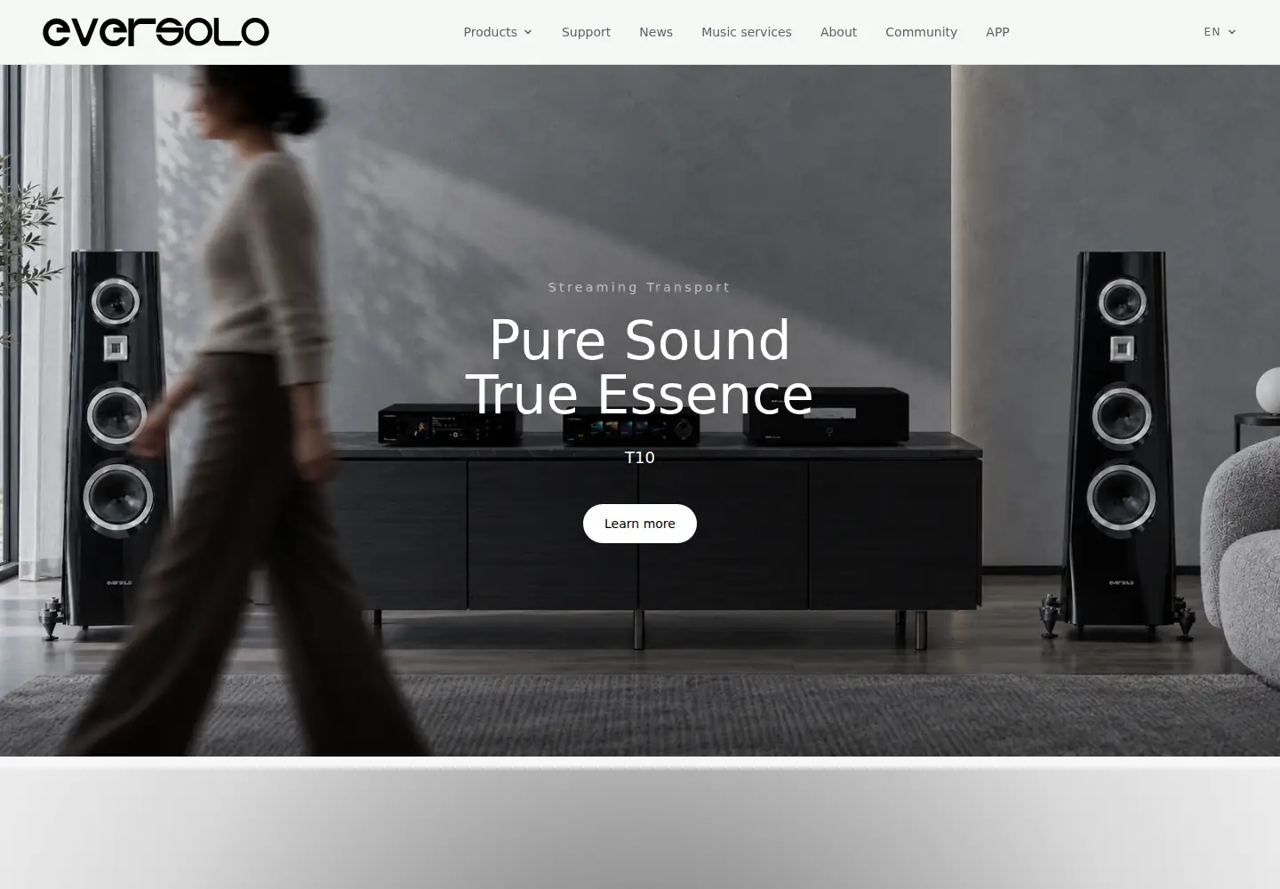 Screenshot of eversolo.com