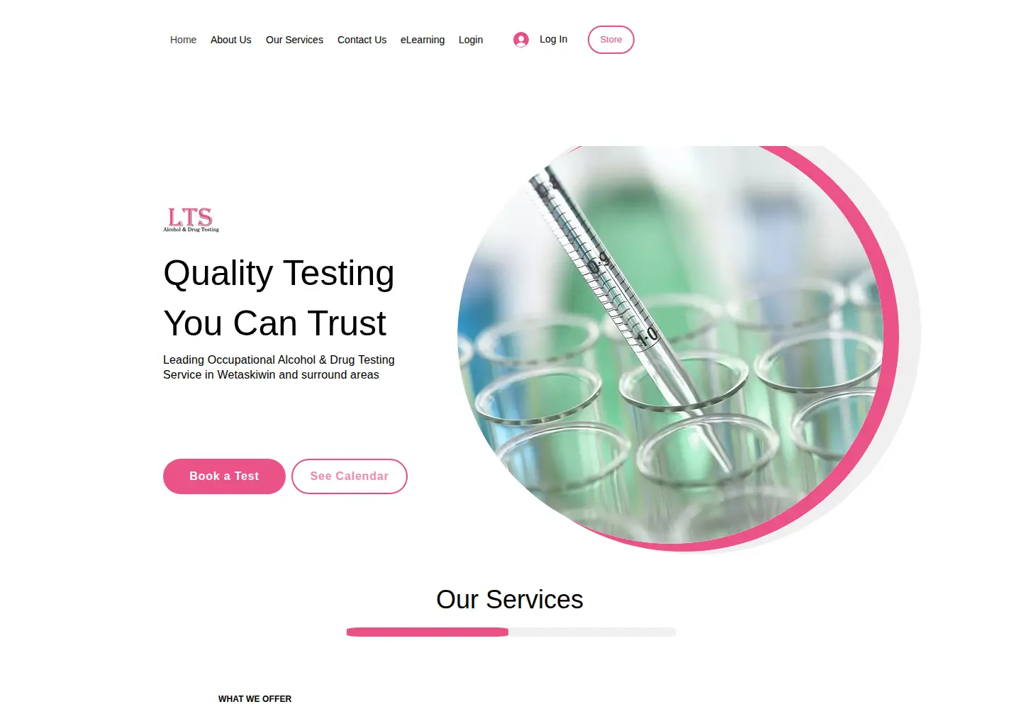 Screenshot of ltstesting.com