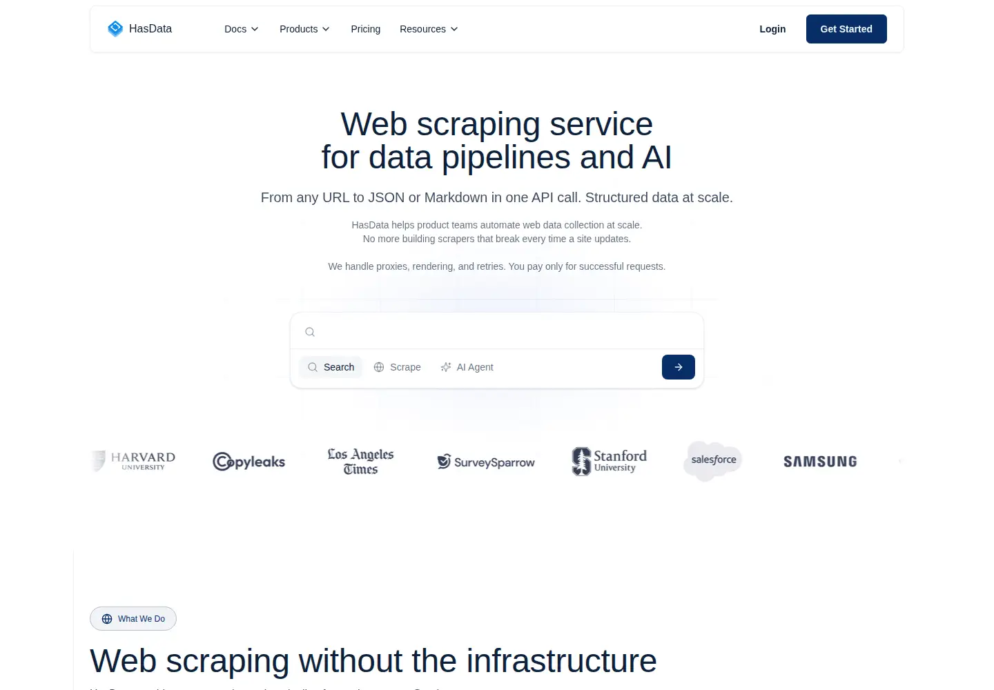 Captured homepage of hasdata.com in the current scan