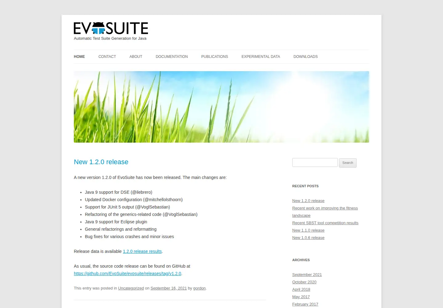 Screenshot of evosuite.org