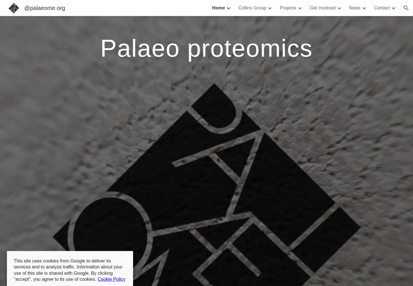 Captured homepage of palaeome.org in the current scan