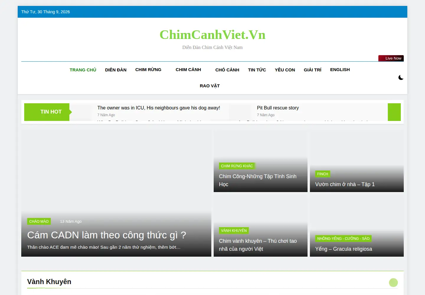 Captured homepage of chimcanhviet.vn in the current scan