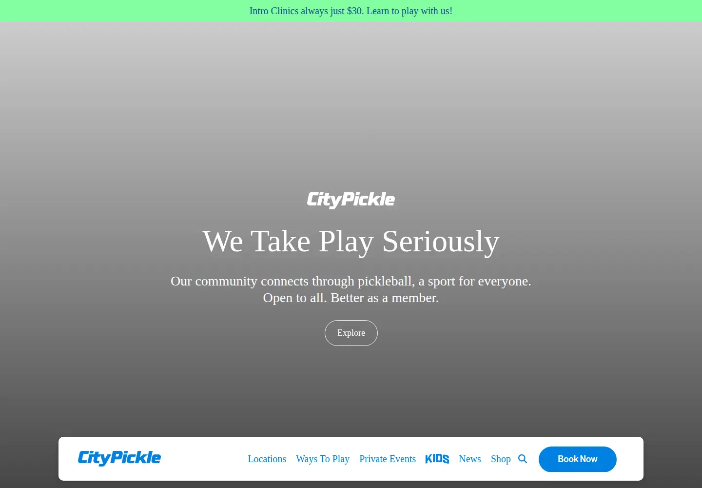 Screenshot of city-pickle.com