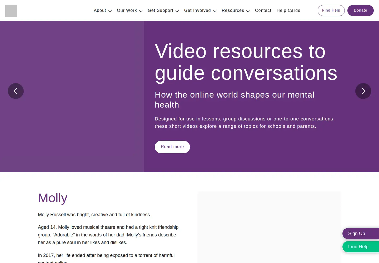 Screenshot of mollyrosefoundation.org