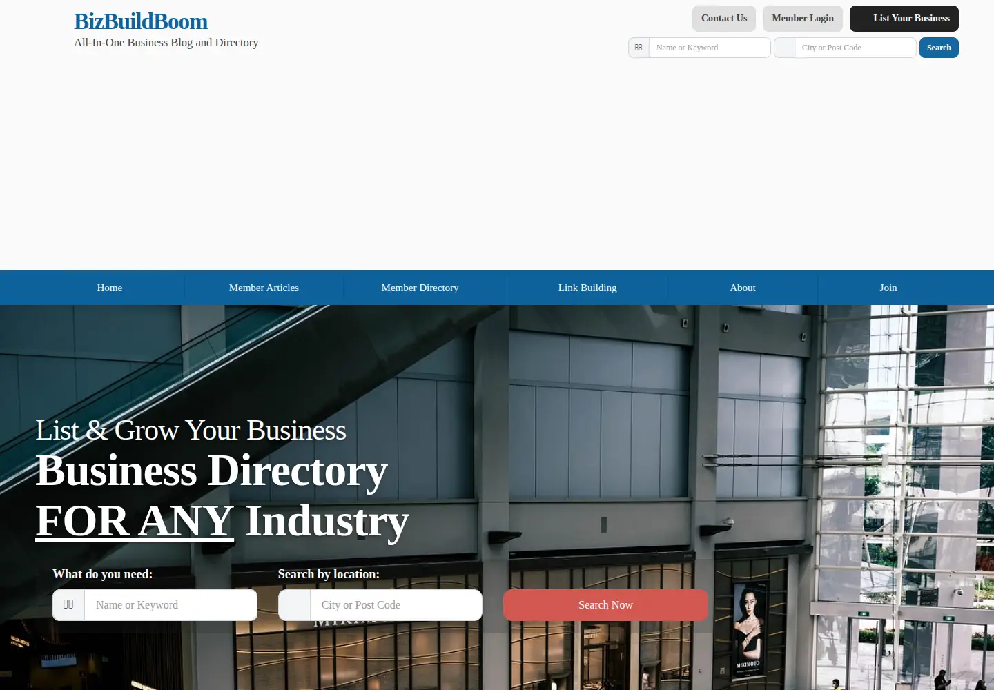 Captured homepage of bizbuildboom.com in the current scan