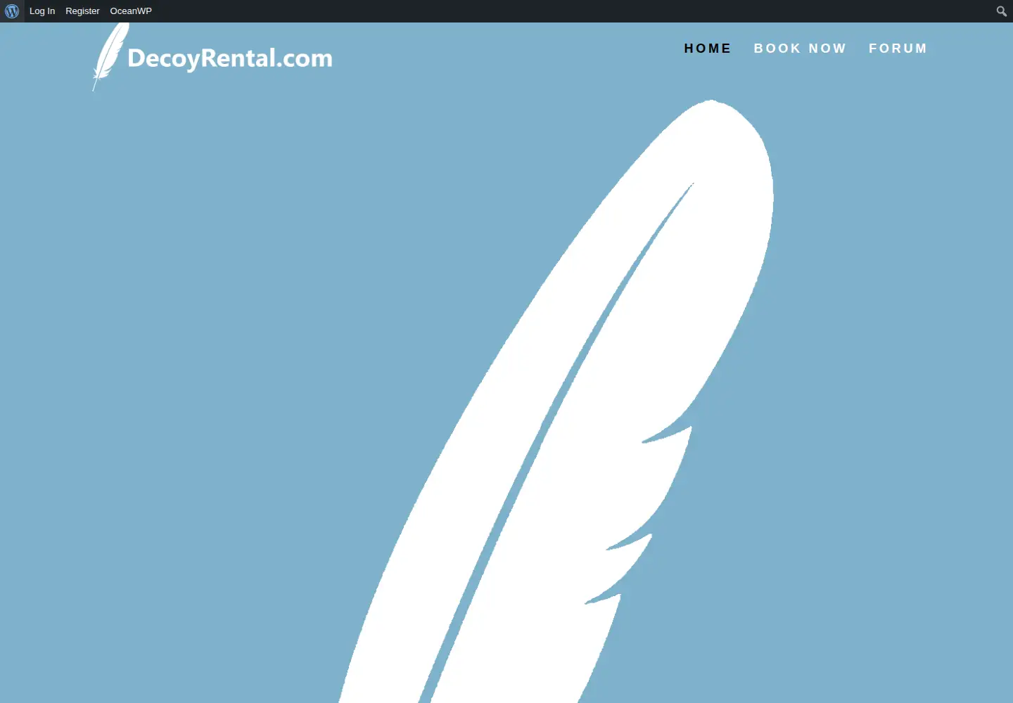 Screenshot of decoyrental.com