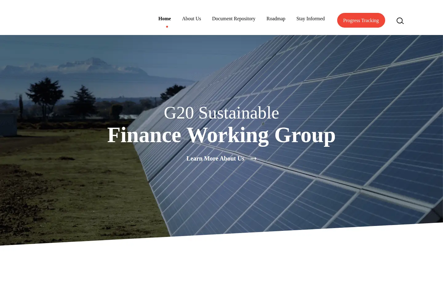 Captured homepage of g20sfwg.org in the current scan