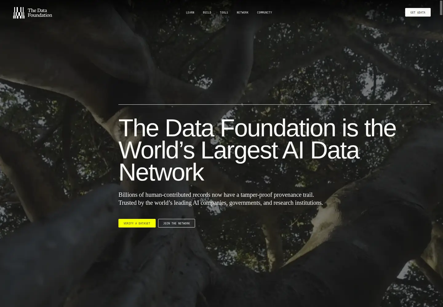 Captured homepage of story.foundation in the current scan