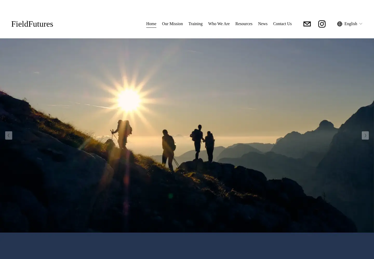 Screenshot of fieldfutures.org