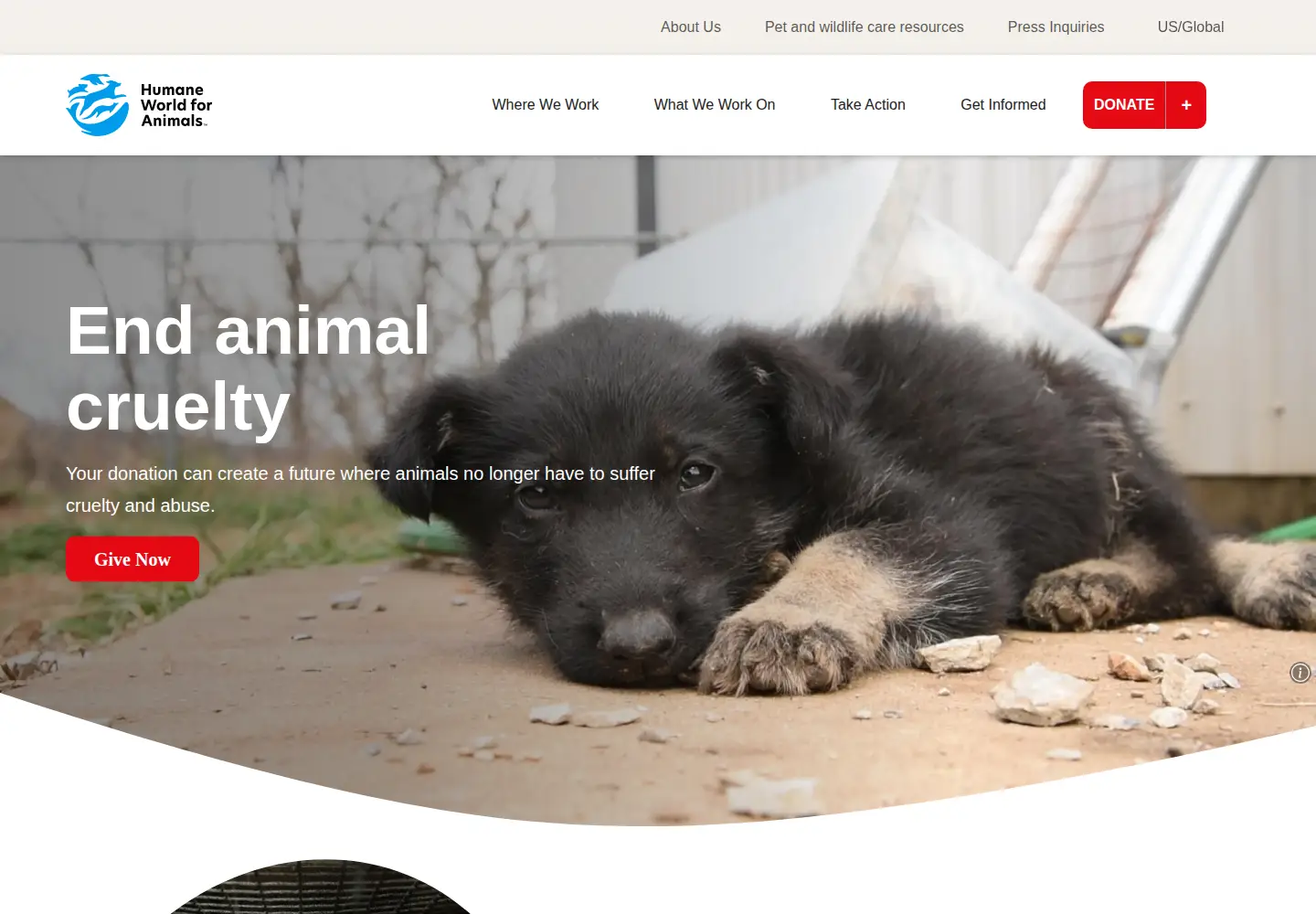 Screenshot of humanesociety.org