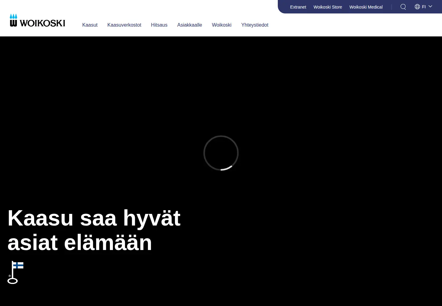 Captured homepage of woikoski.fi in the current scan