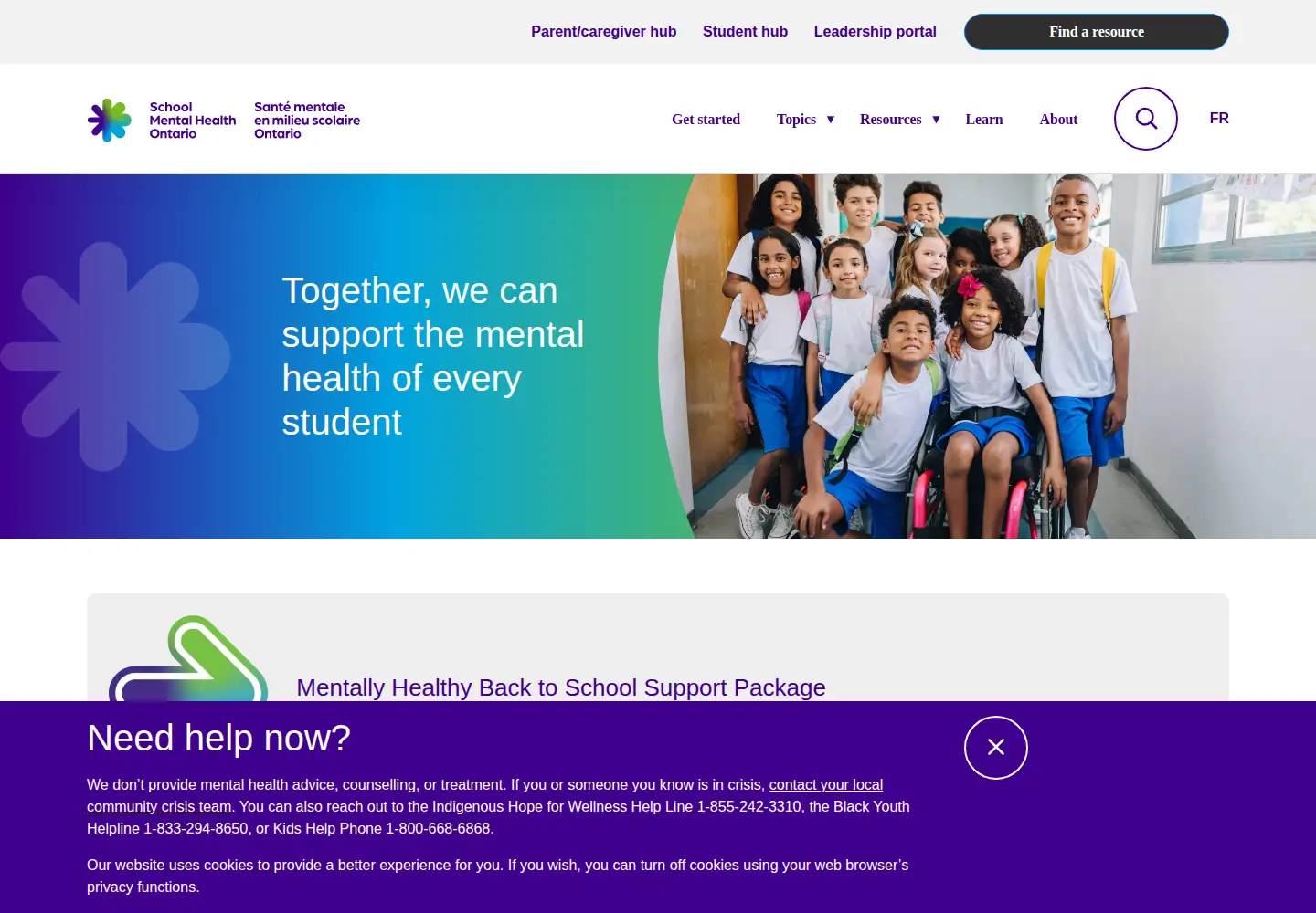 Screenshot of smho-smso.ca