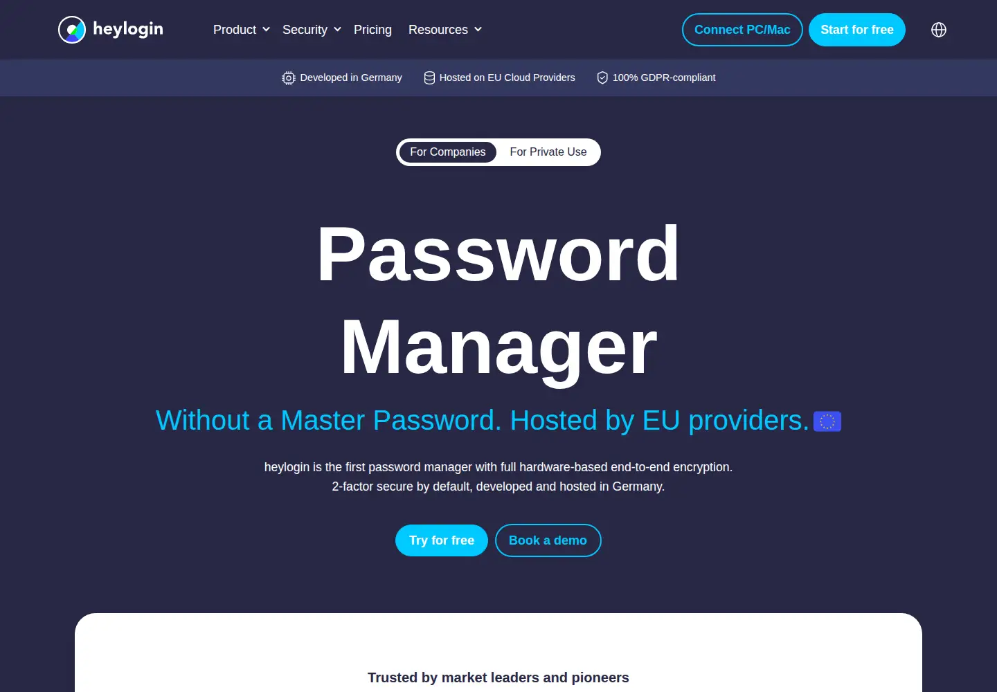 Captured homepage of heylogin.com in the current scan