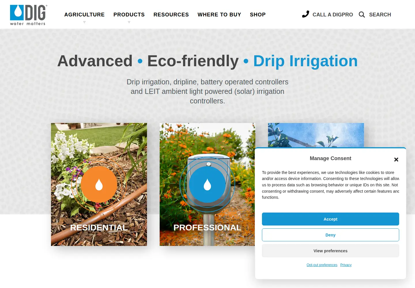 Screenshot of digcorp.com