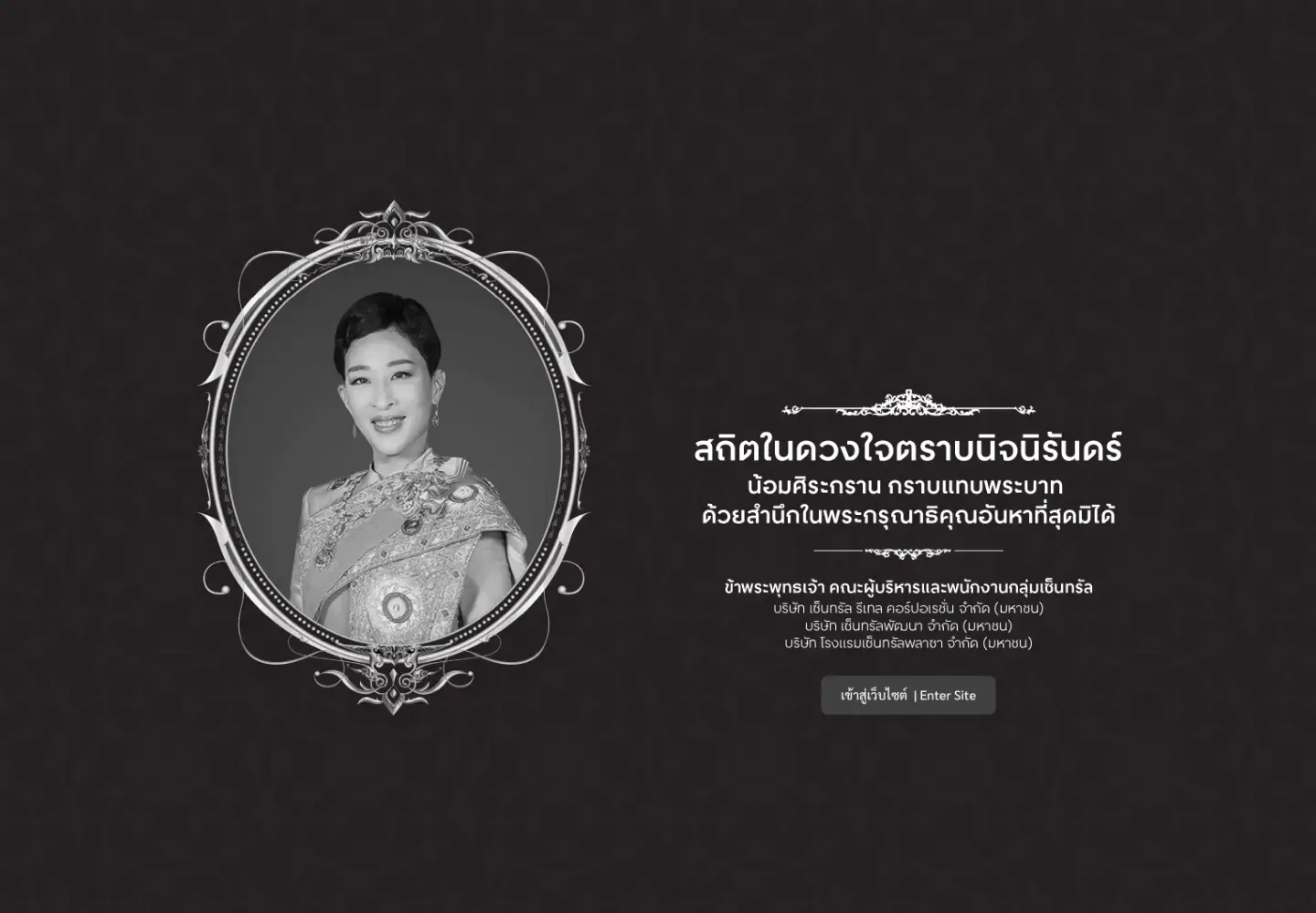 Captured homepage of centralretail.com in the current scan