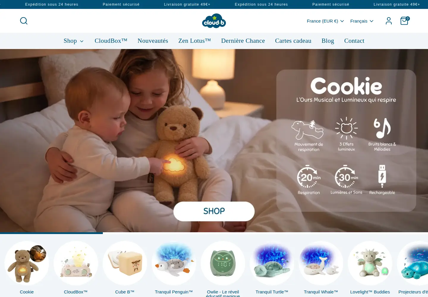 Captured homepage of cloudb.com in the current scan