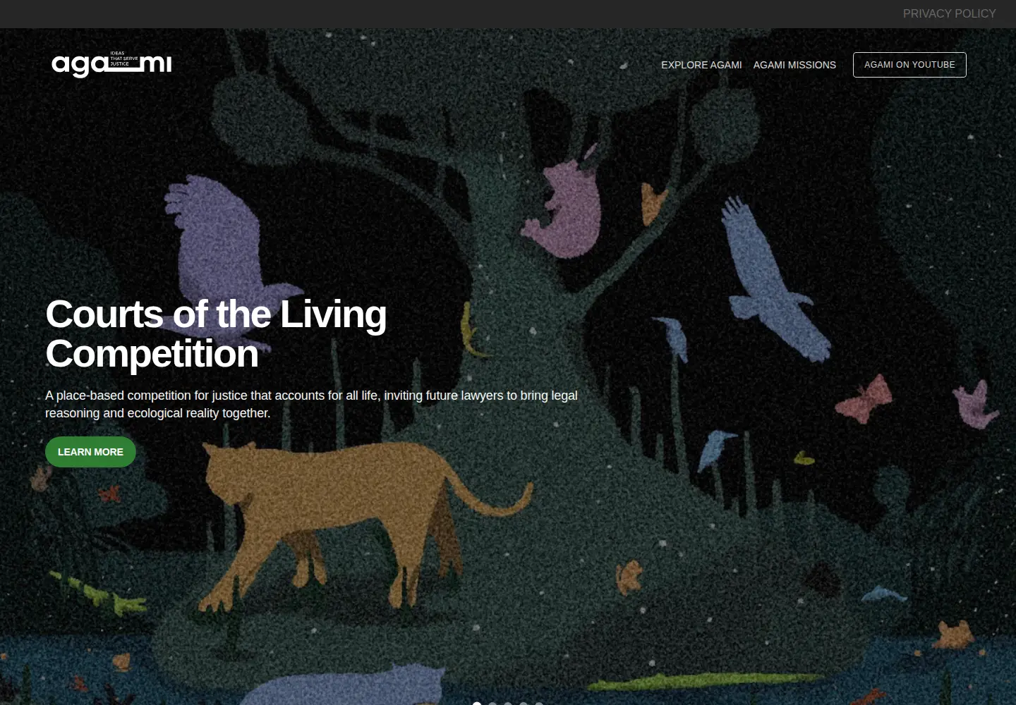 Screenshot of agami.in