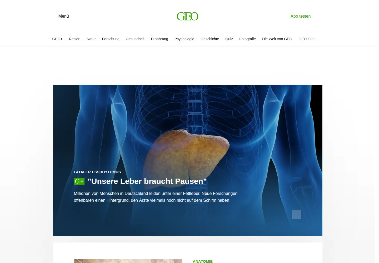 Screenshot of geo.de
