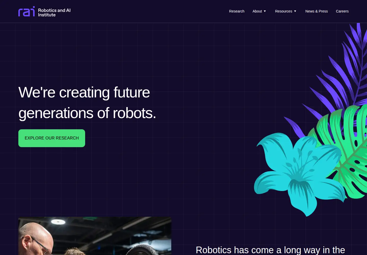 Screenshot of rai-inst.com