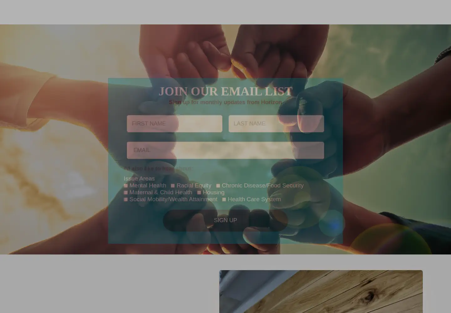 Captured homepage of thehorizonfoundation.org in the current scan