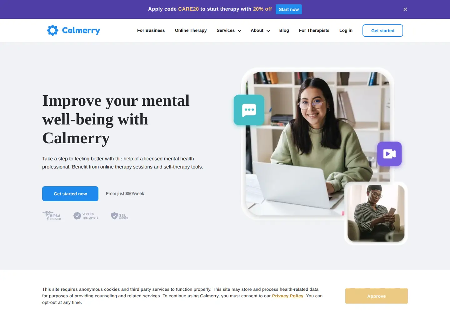 Captured homepage of calmerry.com in the current scan