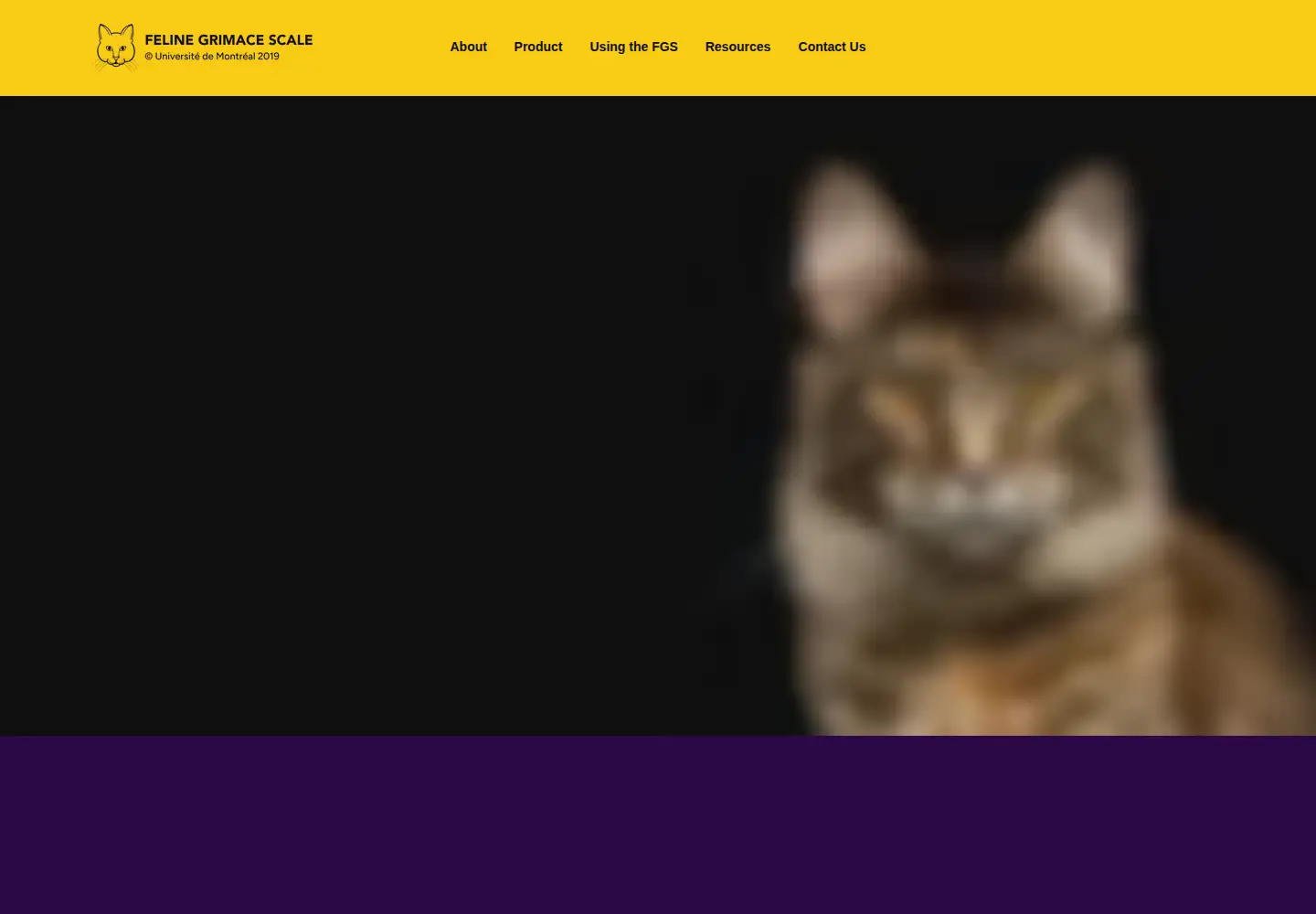 Screenshot of felinegrimacescale.com