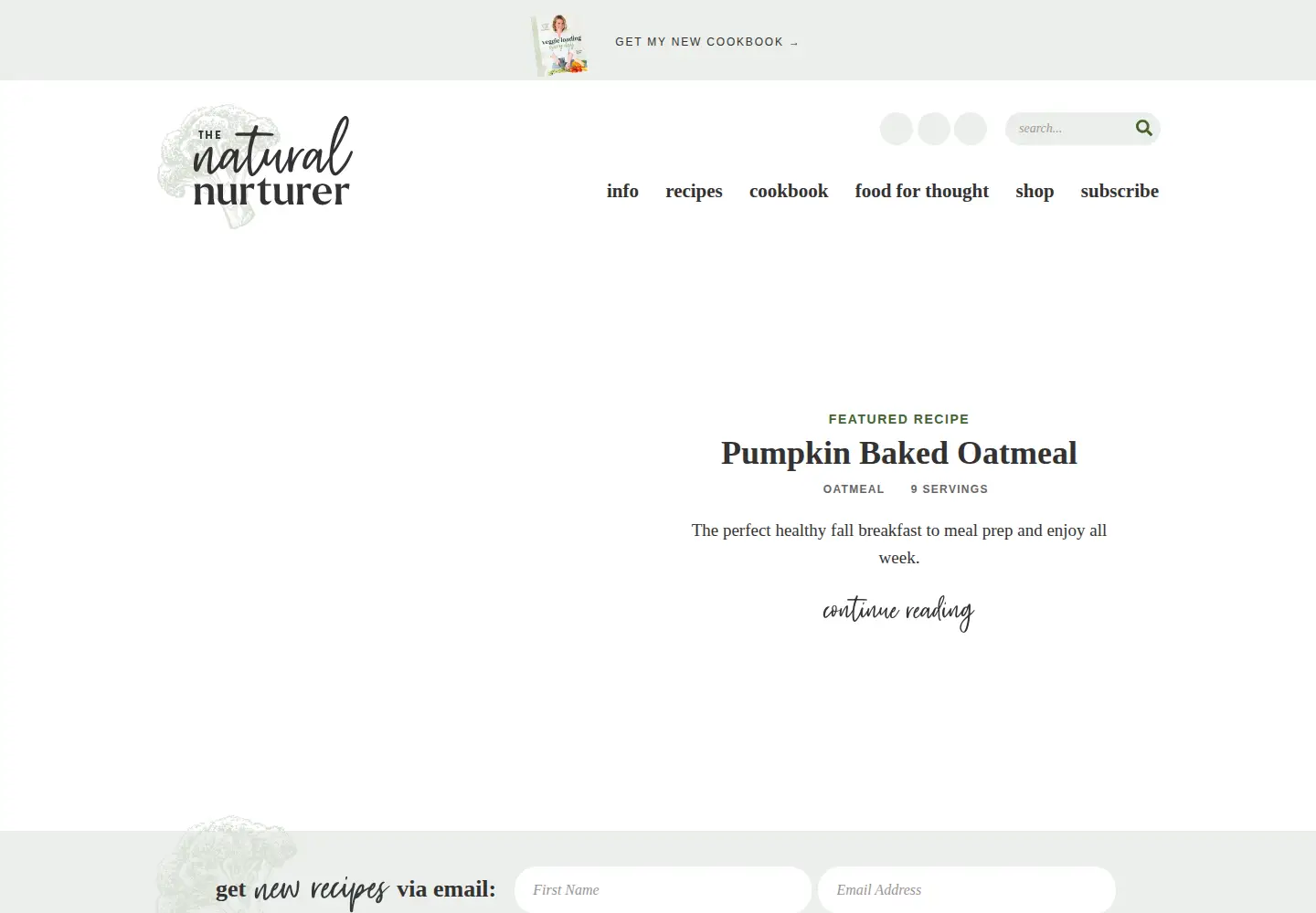 Captured homepage of thenaturalnurturer.com in the current scan