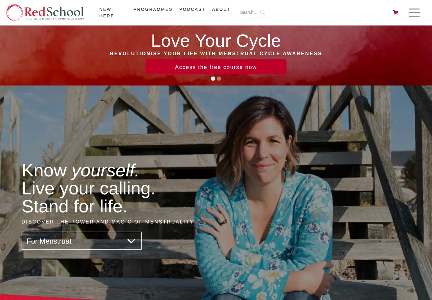 Screenshot of redschool.net